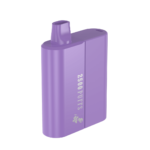 GABRIELBD2500-BlueberryGrape - Grossiste de Cigarettes Électroniques, E-liquides, nicotine pouches Abidjan Côte d'Ivoire