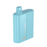 GABRIEL_BD2500_-_Blueberry_Ice - Grossiste de Cigarettes Électroniques, E-liquides, nicotine pouches Abidjan Côte d'Ivoire