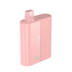 GABRIEL_BD2500_-_Watermelon_Ice - Grossiste de Cigarettes Électroniques, E-liquides, nicotine pouches Abidjan Côte d'Ivoire