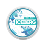 NicotinePouches-Iceberg20mg-CoolMint - Grossiste de Cigarettes Électroniques, E-liquides, nicotine pouches Abidjan Côte d'Ivoire