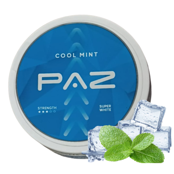 PAZ-Cool-Mint-Medium-12-MG-Nicotine-Pouches.png - Grossiste de Cigarettes Électroniques, E-liquides, nicotine pouches Abidjan Côte d'Ivoire