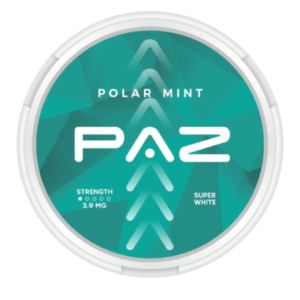 PAZ-Polar-Mint-Nicotine-Pouches.png - Grossiste de Cigarettes Électroniques, E-liquides, nicotine pouches Abidjan Côte d'Ivoire
