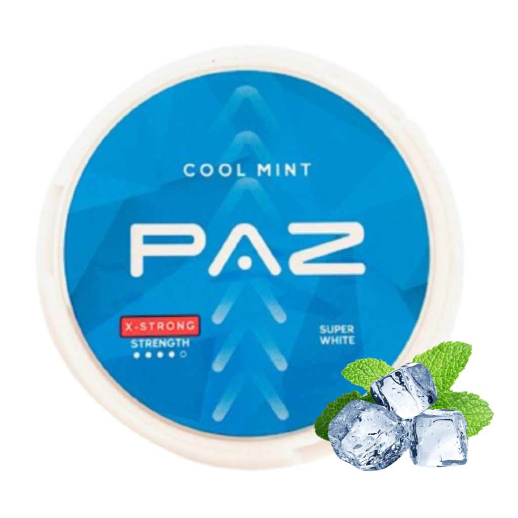 PAZ-X-Strong-Cool-Mint-Nicotine-Pouches.png - Grossiste de Cigarettes Électroniques, E-liquides, nicotine pouches Abidjan Côte d'Ivoire