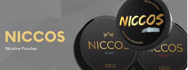 Banner small legrossistedelavape.ci(1) - Grossiste de Cigarettes Électroniques, E-liquides, nicotine pouches Abidjan Côte d'Ivoire