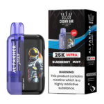 BlueberryMint – Grossiste puffs Abidjan Côte d'Ivoire | Cigarettes Électroniques, nicotine pouches Abidjan Côte d'Ivoire